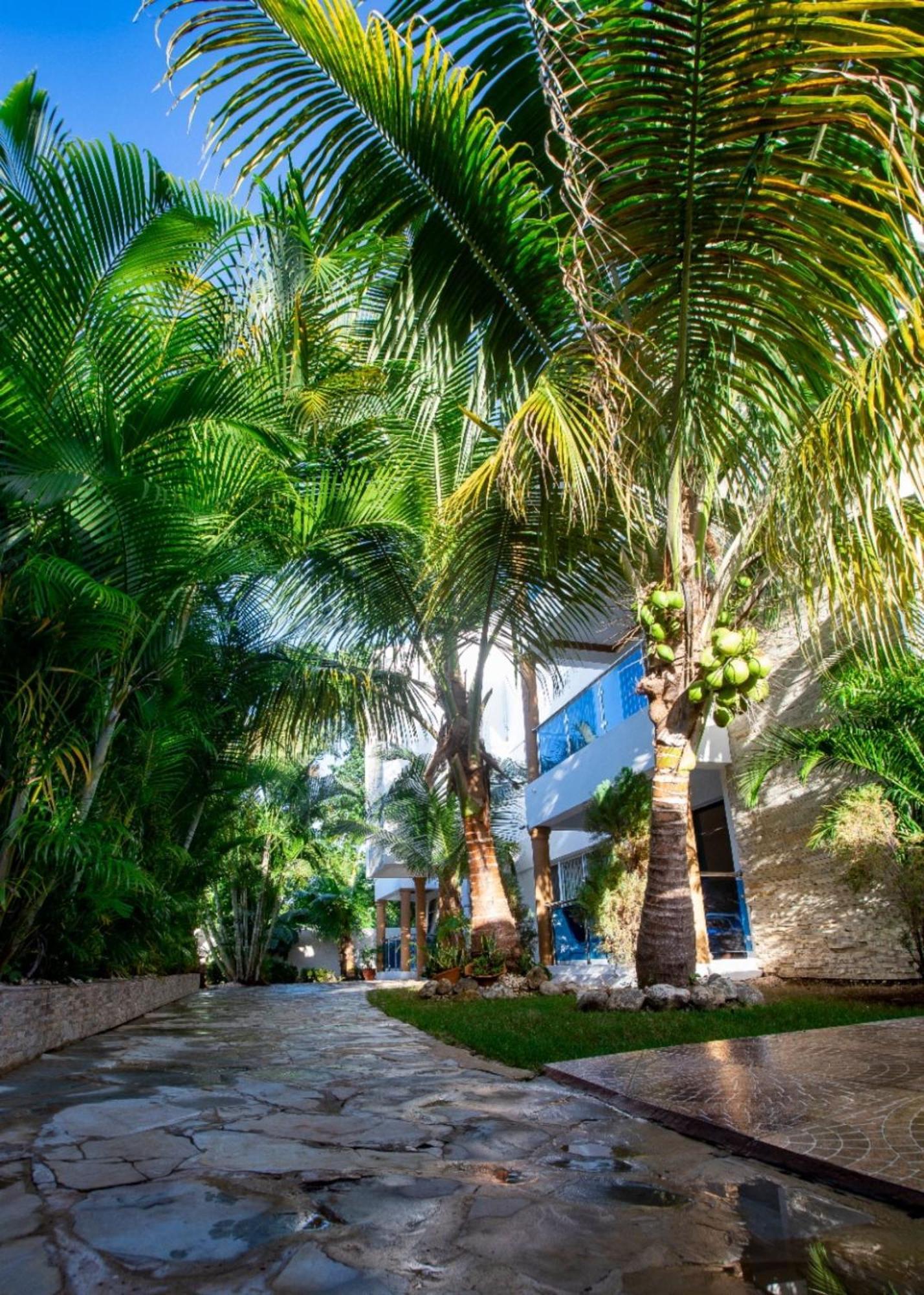 Cozy And Central Apartment 1Br-1Ba With Pool Sosúa Exterior foto
